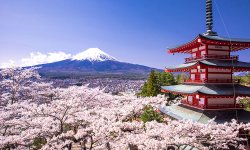 Япония: необычные факты о стране восходящего солнца