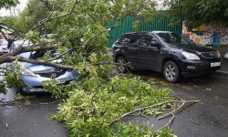 Владивосток в центре Урагана: стихийная катастрофа столкнулась с Приморьем впервые за 50 лет