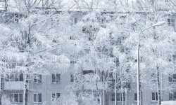Зима в России 2020-2021: готовим шубы или пальто?