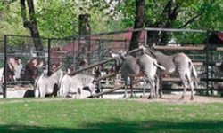 Зоопарк в Москве как доехать на метро